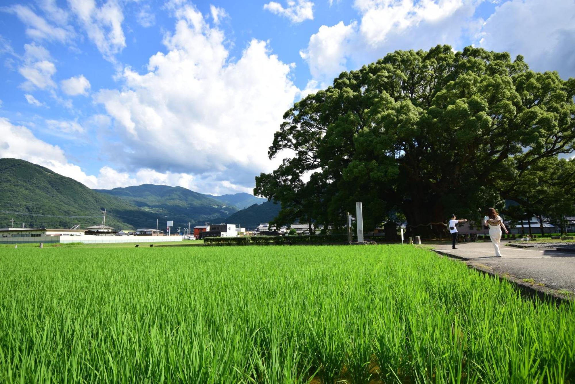 Отель にし阿波ねすと Higashimiyoshi Экстерьер фото