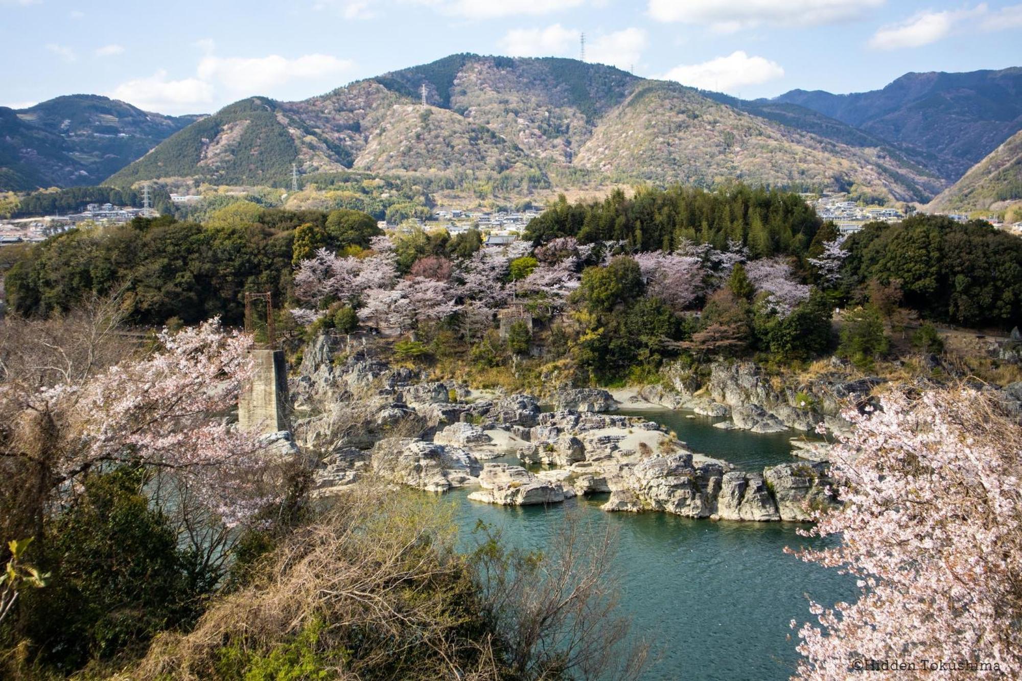 Отель にし阿波ねすと Higashimiyoshi Экстерьер фото